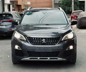 Photo - PEUGEOT 3008 2017 Gris