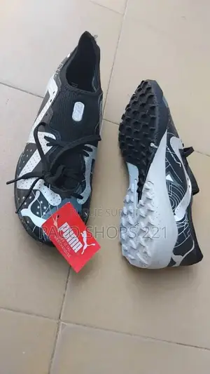 Tout Terrain Puma