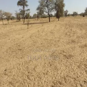 Photo - Terrain De 3,99 Hectares Vers Kébémer