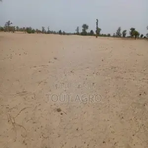 Photo - Terrain De 4,18 Hectares Vers Thienaba