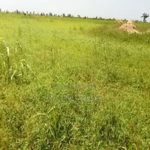 Photo - Terrain De 4,5 Hectares Vers Nguéniène