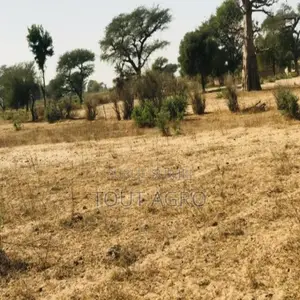 Photo - Terrain De 4,55 Hectares Vers Thiénaba