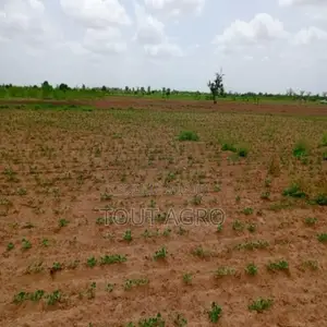 Photo - Terrain De 4,92 Hectares Vers Guinguinéo