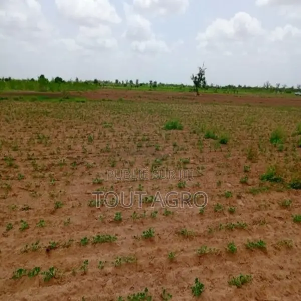 Terrain De 4,92 Hectares Vers Guinguinéo
