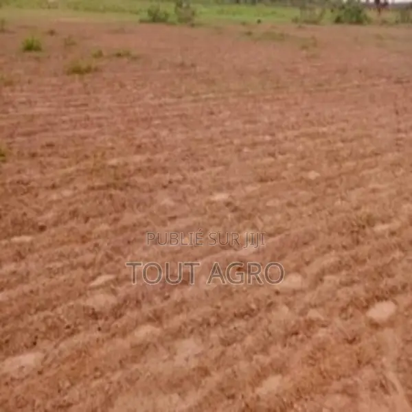 Terrain De 4,92 Hectares Vers Guinguinéo