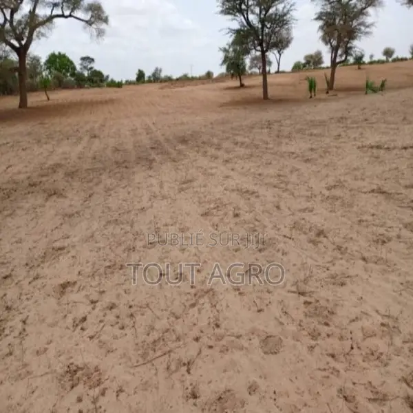 Terrain De 5 Hectares Vers Touba Toul