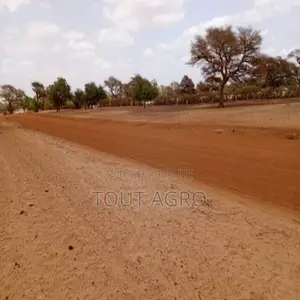 Terrain De 5 Hectares Vers Touba Toul