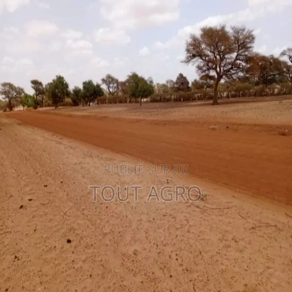 Terrain De 5 Hectares Vers Touba Toul