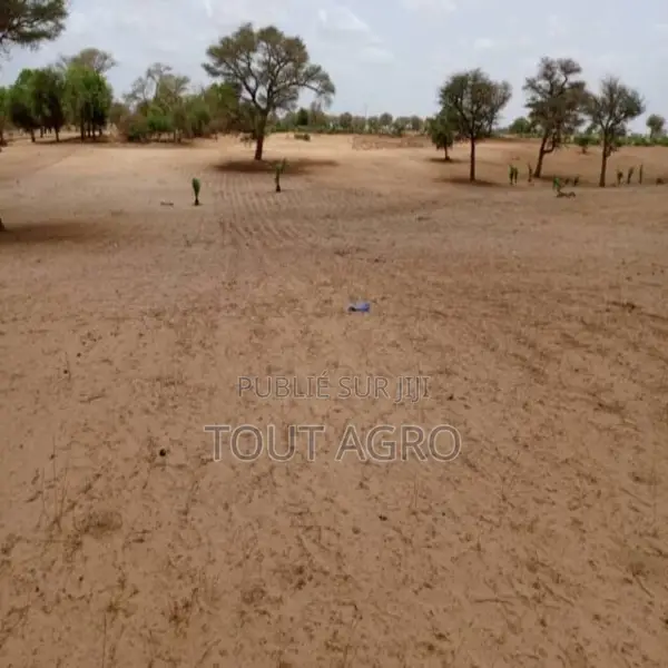 Terrain De 5 Hectares Vers Touba Toul
