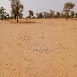 Photo - Terrain De 5,01 Hectares Vers Touba Toul