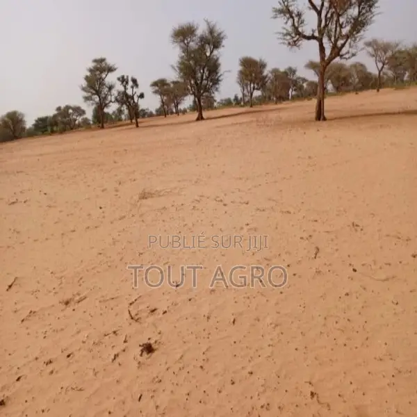 Terrain De 5,01 Hectares Vers Touba Toul