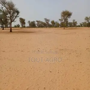 Terrain De 5,01 Hectares Vers Touba Toul
