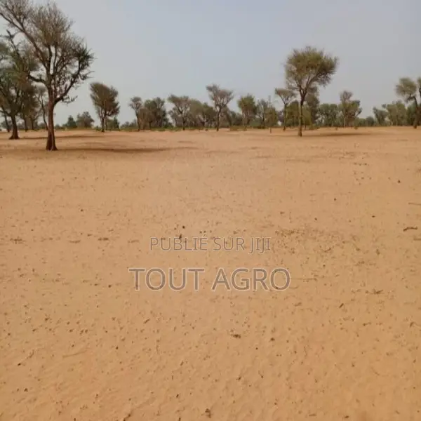 Terrain De 5,01 Hectares Vers Touba Toul
