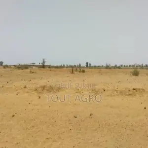 Photo - Terrain De 5,04 Hectares Vers Sindia
