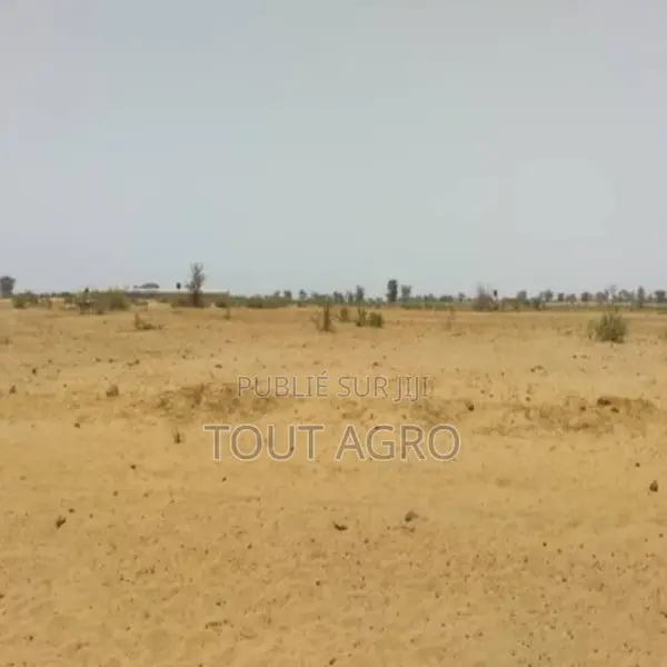 Terrain De 5,04 Hectares Vers Sindia