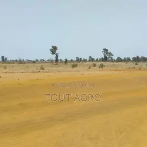 Terrain De 5,04 Hectares Vers Sindia