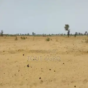 Terrain De 5,04 Hectares Vers Sindia