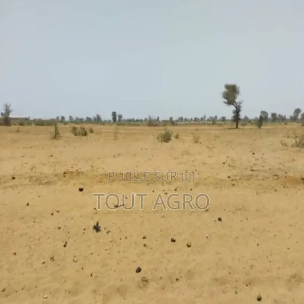 Terrain De 5,04 Hectares Vers Sindia