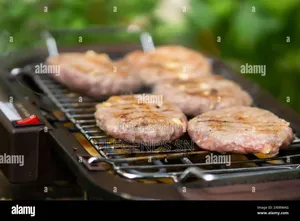 Barbecue Électrique