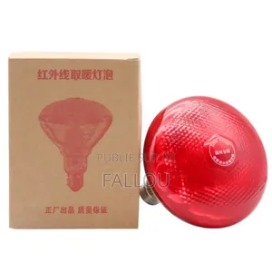 Photo - Thermostat Ventilo Hygromètre Couveuse Disponible