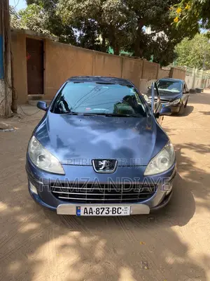 Photo - PEUGEOT 407 2010 Bleu
