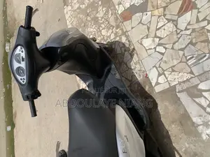 Photo - New Piaggio Trotinette 2010 Gris