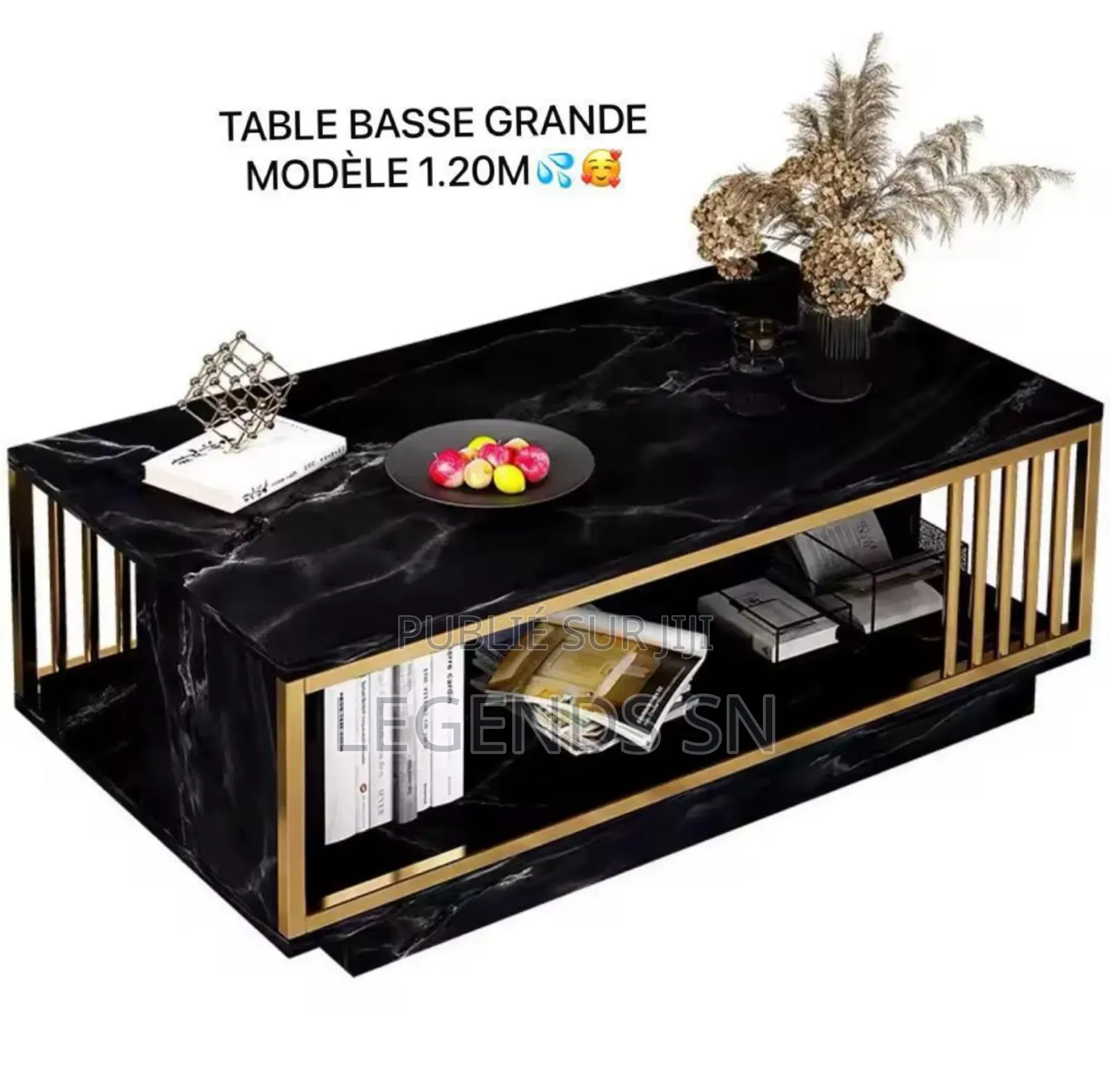 Table Basse Grand Modèle