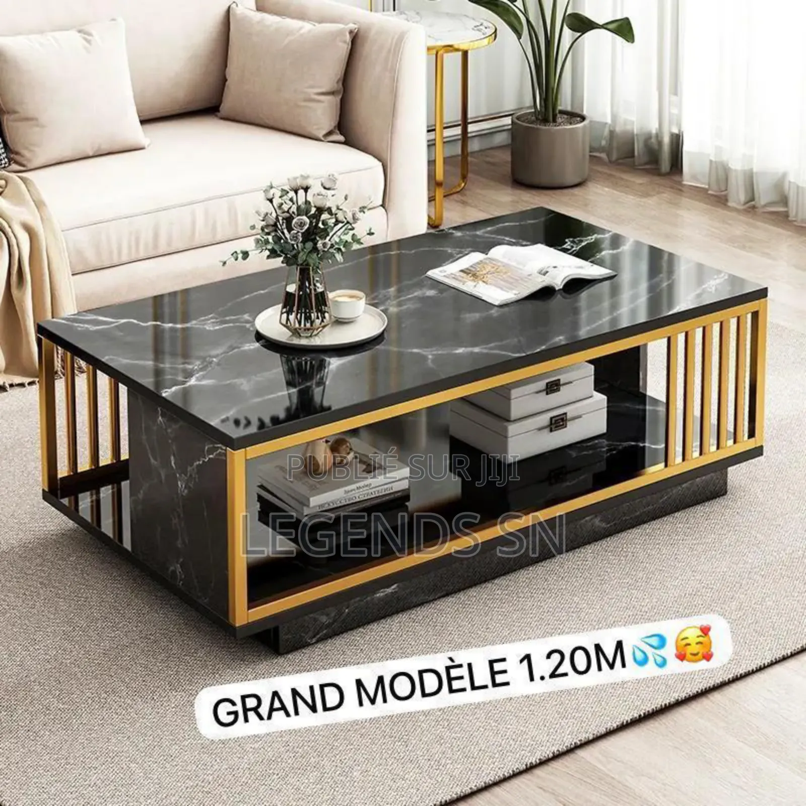 Table Basse Grand Modèle