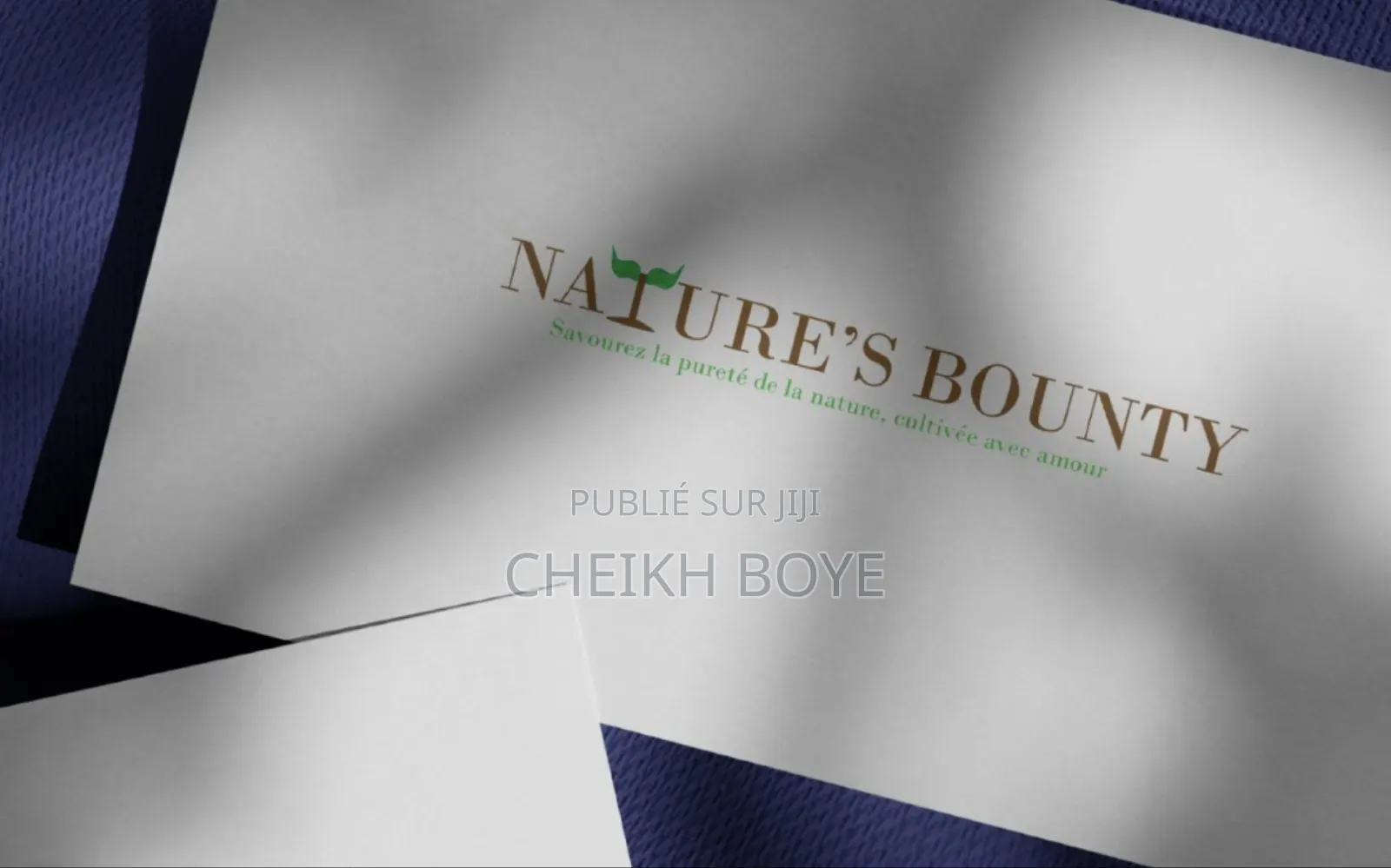 Conception De Logo, Affiche, Design Graphique
