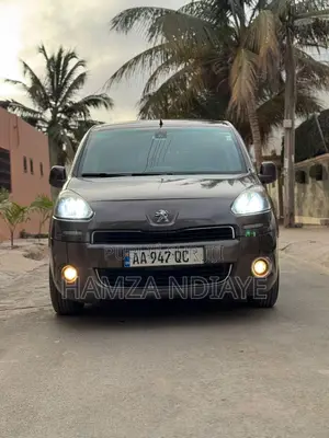Photo - PEUGEOT Partenaire 2015 Marron