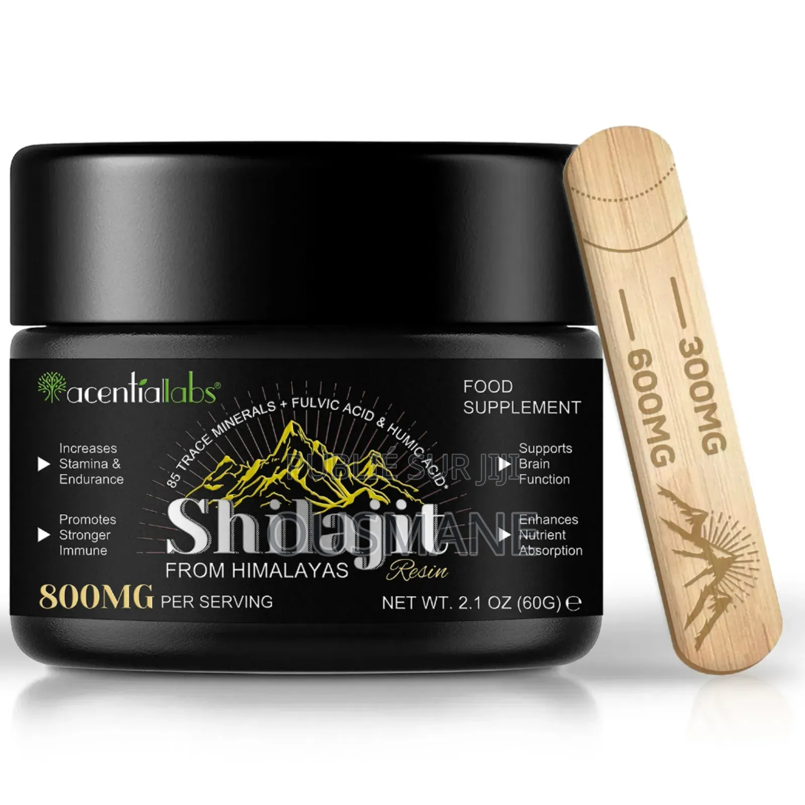 Shilajit De l'Himalaya