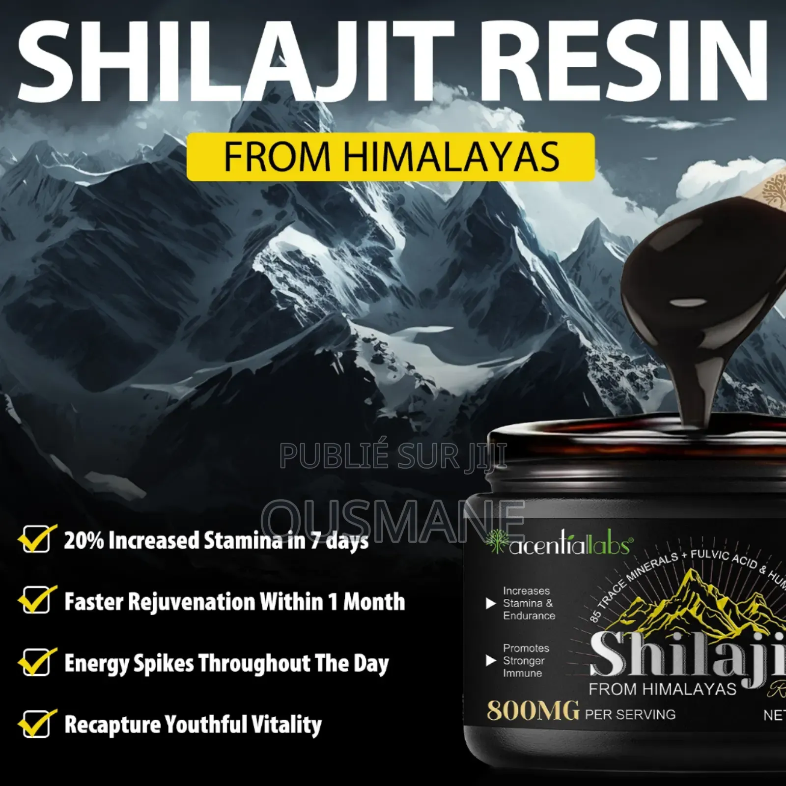 Shilajit De l'Himalaya