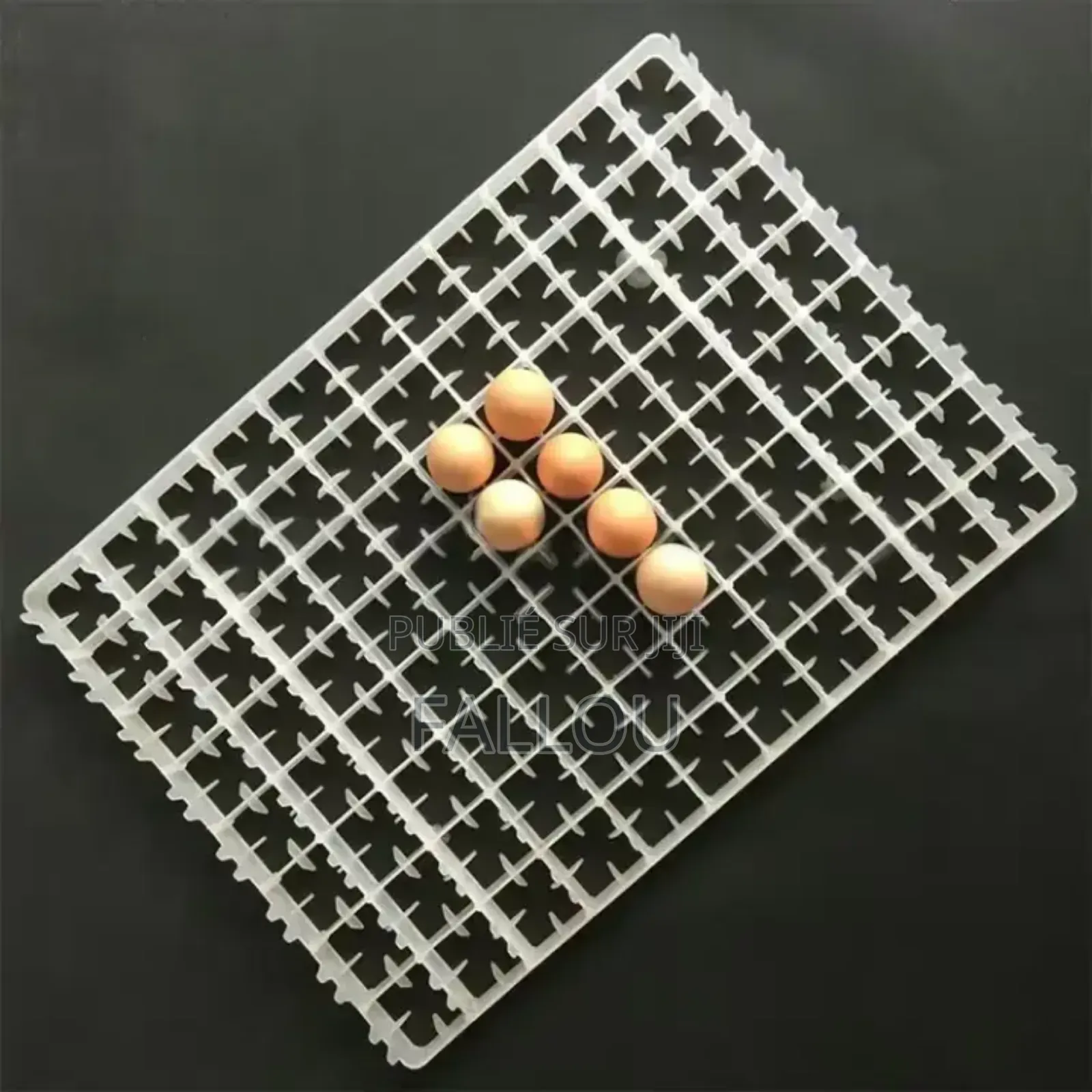 Matériel De Couveuse Et