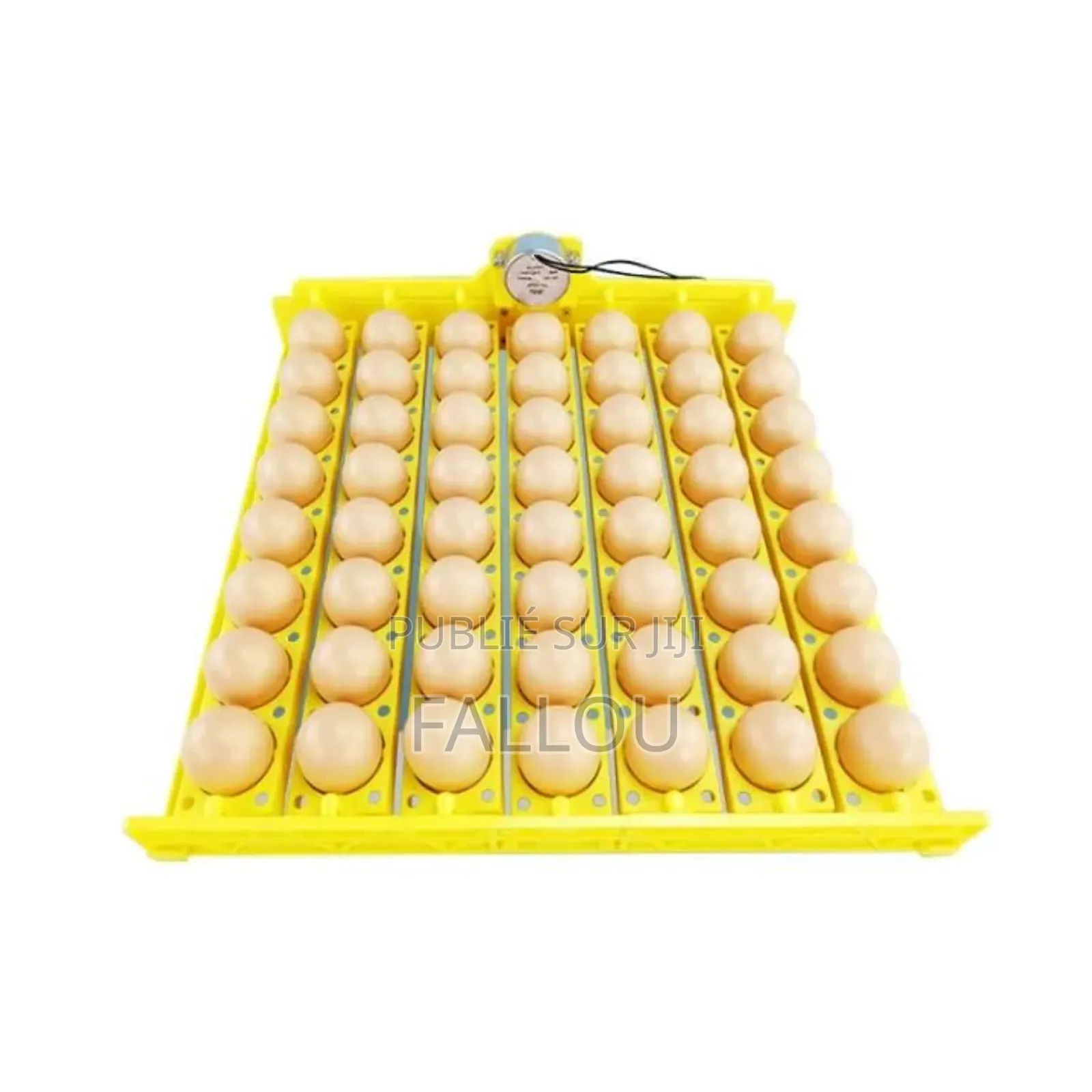 Matériel De Couveuse Et