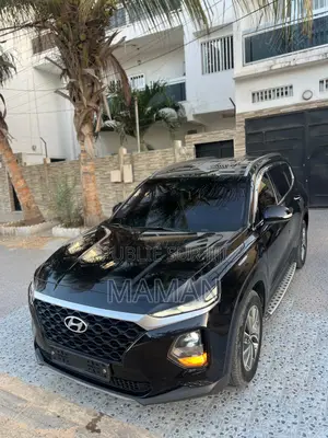 Photo - Hyundai Santa Fe 2019 Noir