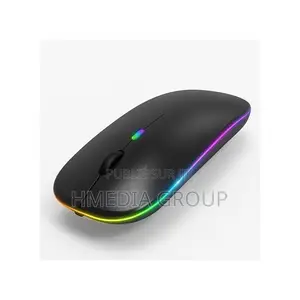 Photo - Souris Sans Fil Led Ergonomique