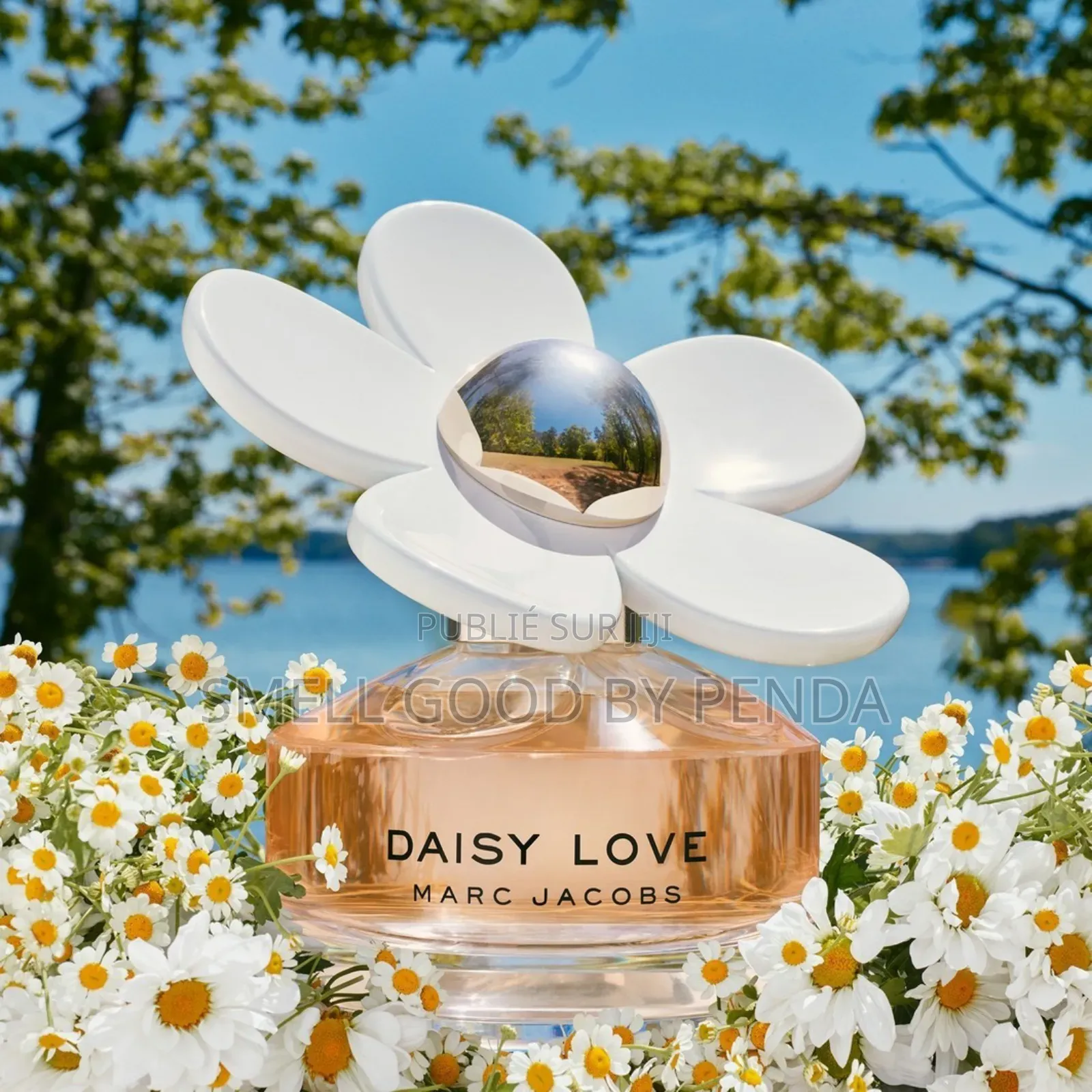 Daisy Love Marc Jacobs