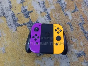 Photo - Manette Switch