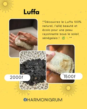 Photo - Luffa Eponge
