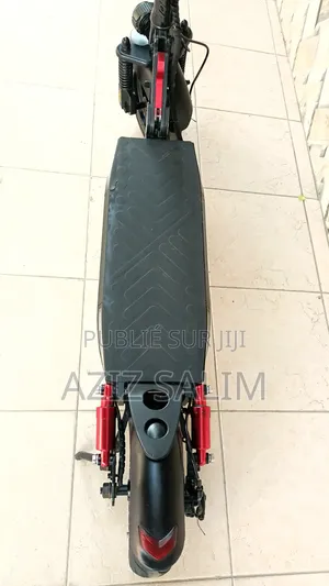 Trottinette Electrique Liontec