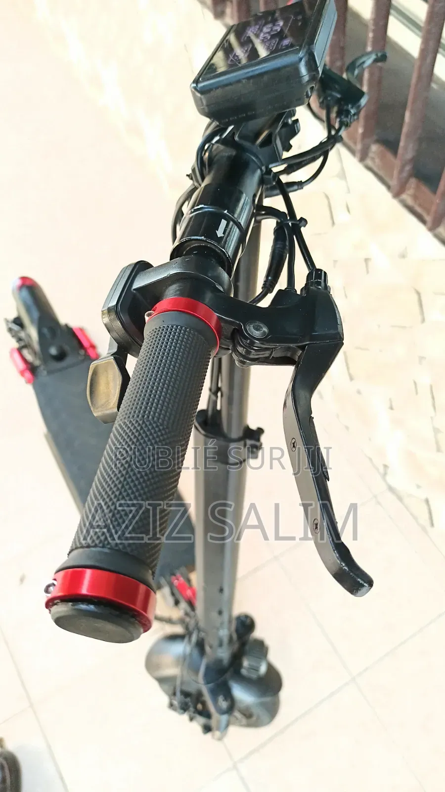 Trottinette Electrique Liontec