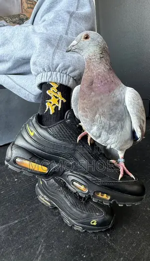 Corteiz X Nike Air Max 95 Sp “Honey Black” – Neuf