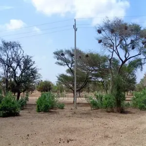 Photo - Terrain De 21,05 Hectares Vers Thiénaba