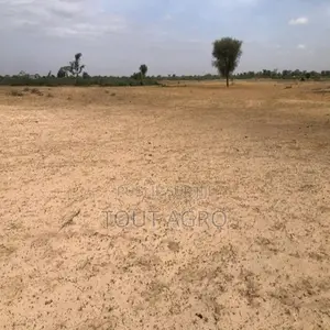 Photo - Terrain De 9 000 M2 Vers Tassette