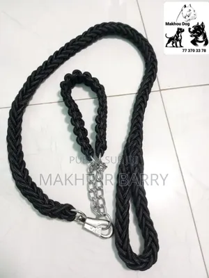 Photo - Accessoires Chien Disponibles