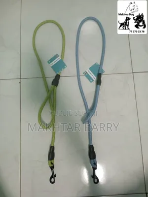 Photo - Laisse Pou Chien