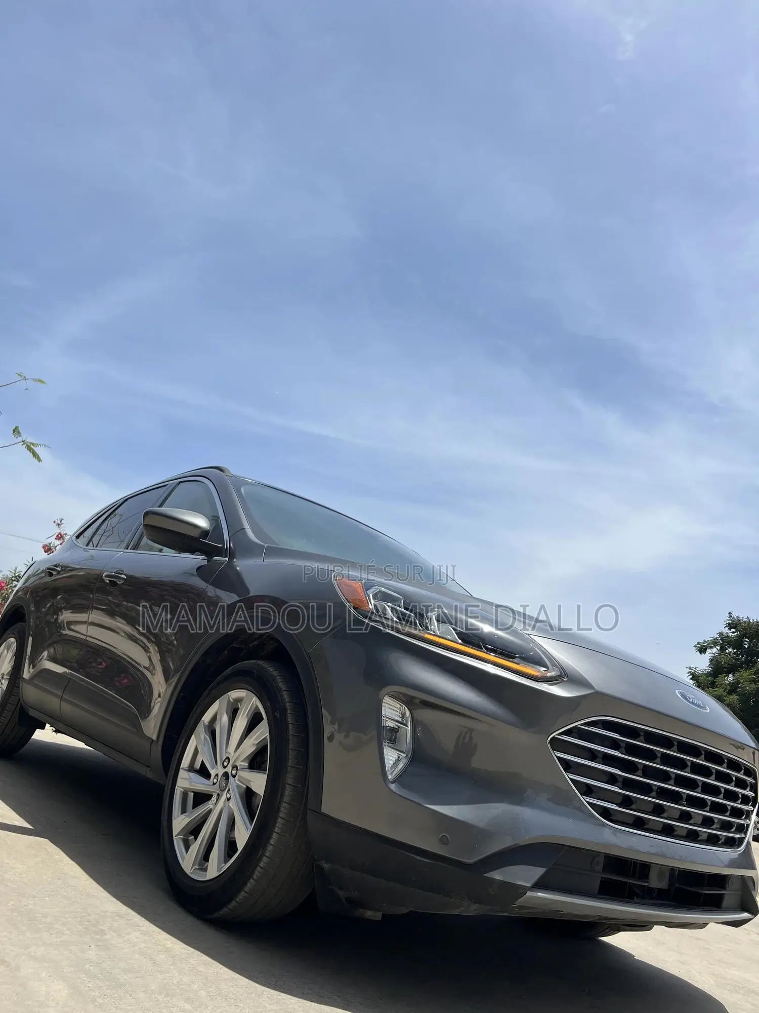 Ford Escape 2021 Gris