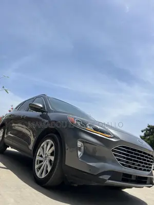 Ford Escape 2021 Gris