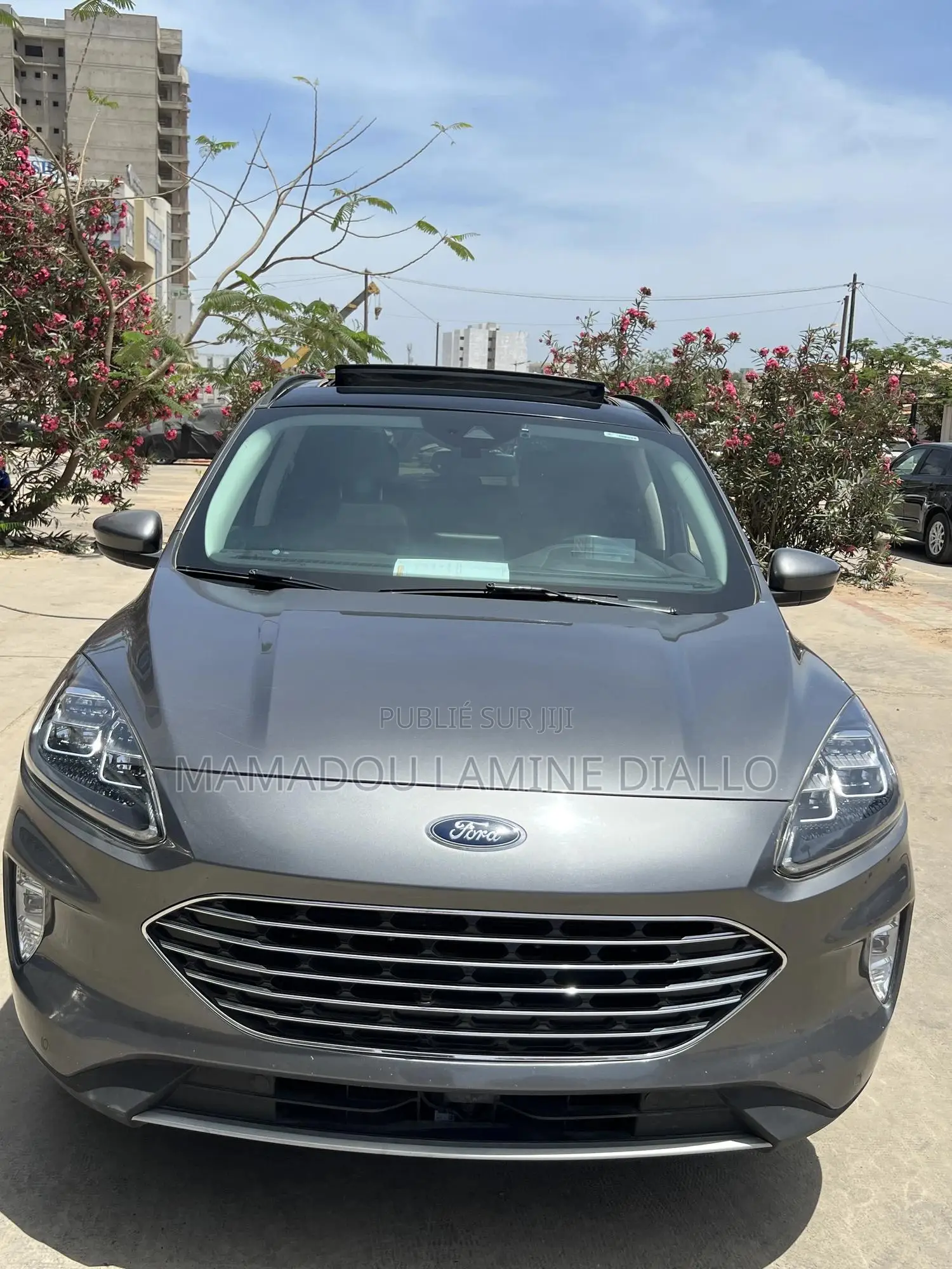 Ford Escape 2021 Gris