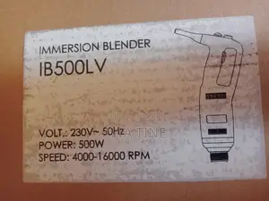 Mixeur Plongeant Professionnel